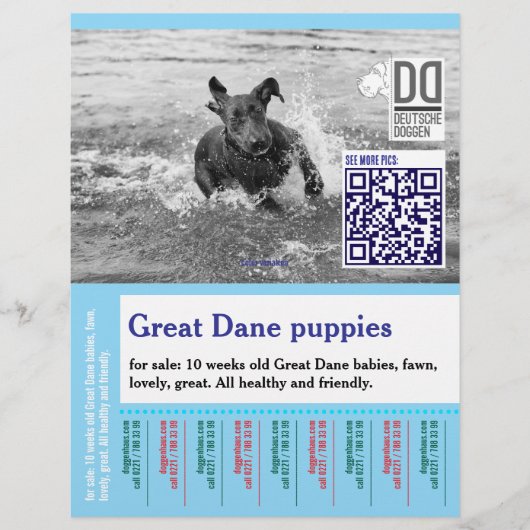Buntes Abreiß-Hunde-Flugblatt Flyer (Vorne)