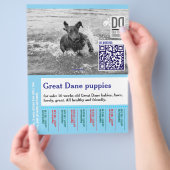 Buntes Abreiß-Hunde-Flugblatt Flyer (Hand)