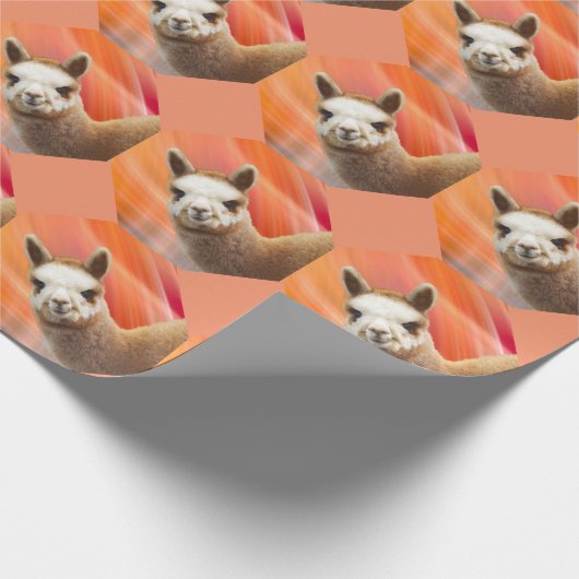 Buntes Alpaka-Packpapier Geschenkpapier (Ecke)