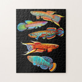 Buntes Aquariumkillifish-Puzzlespiel Puzzle