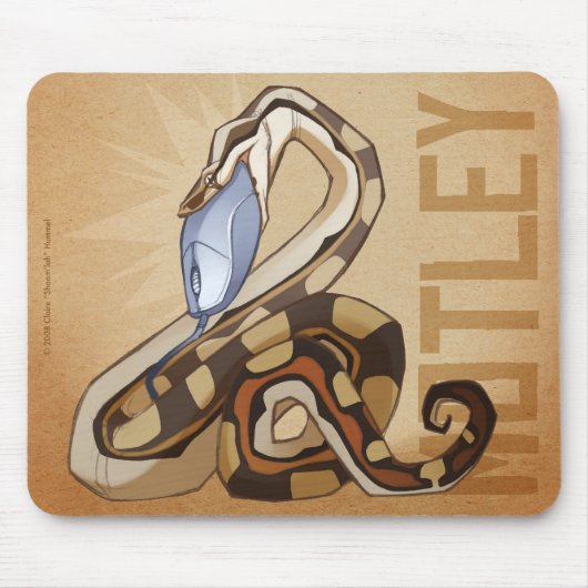 Buntes BCI Mousepad (Vorne)