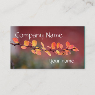 Buntes Blätter Visitenkarte