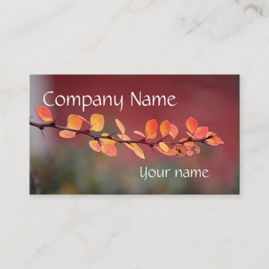 Buntes Blätter Visitenkarte (Vorderseite)