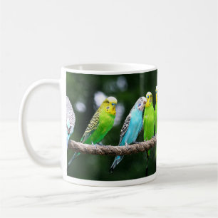 Buntes Budgies Kaffeetasse