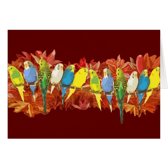 Buntes budgies Muster (Vorderseite (Horizontal))