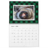 Buntes Büffel-Plaid-Foto Kalender (Mär 2026)