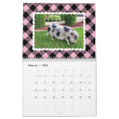 Buntes Büffel-Plaid-Foto Kalender (Feb 2026)