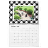 Buntes Büffel-Plaid-Foto Kalender (Jan 2026)