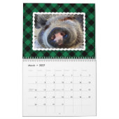 Buntes Büffel-Plaid-Foto Kalender (Mär 2027)
