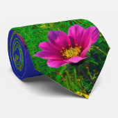 Buntes Colorado, Spiess-Höchstberg Krawatte (Gerollt)