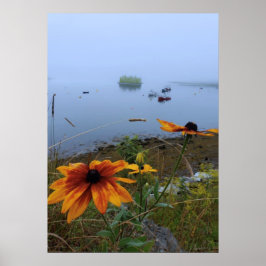 Buntes Daisy, Lubec Maine Poster