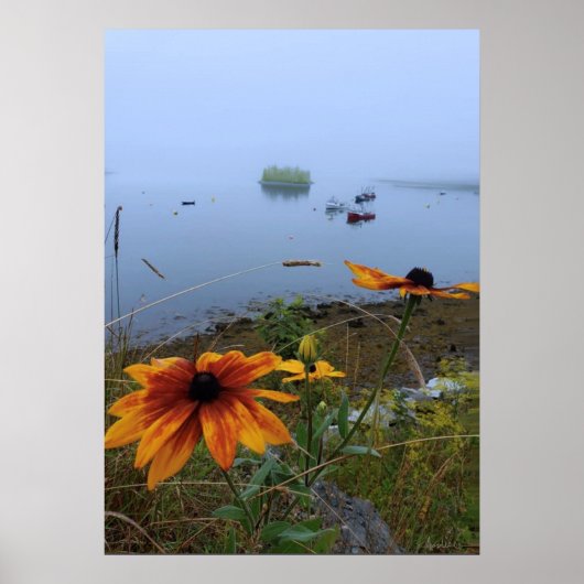 Buntes Daisy, Lubec Maine Poster (Vorne)