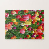 Buntes Feld des Tulpe-Blumen-Puzzlen Puzzle (Horizontal)