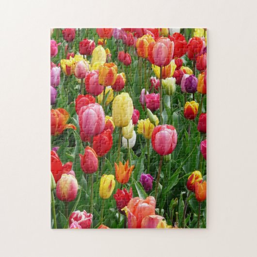 Buntes Feld des Tulpe-Blumen-Puzzlen Puzzle (Vertikal)