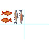 Buntes Fisch-Fett-Viertel Stoff (Kachel)