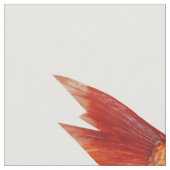 Buntes Fisch-Fett-Viertel Stoff (Nahaufnahme)