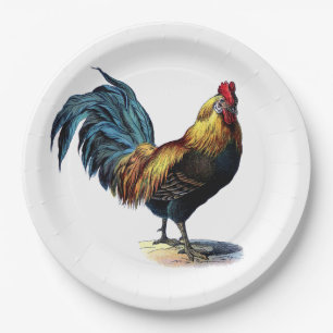 Buntes Hahn-Land-Huhn-Vintages Bild Pappteller