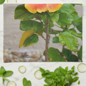 Buntes Hibiskus-Blume Küchen-Tuch Küchentuch (Gefaltet)