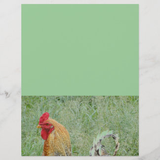 Buntes Huhn der Farm der Tiere der Hähne