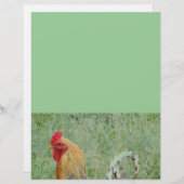 Buntes Huhn der Farm der Tiere der Hähne (Vorne/Hinten)