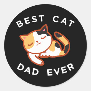 Buntes Katzen-Vater-T-Shirt, das beste Kittchen-Va Runder Aufkleber