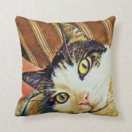 Buntes Katzen-Wurfs-Kissen Kissen