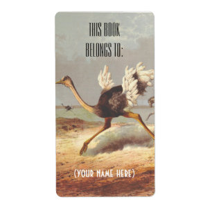 Buntes laufendes Ostrichillustrations-Buchzeichen