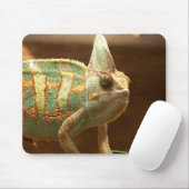 buntes lizzard mousepad (Mit Mouse)