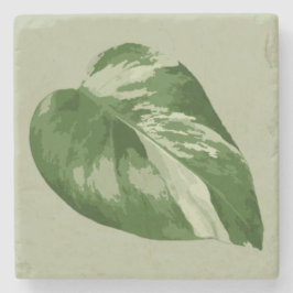 Buntes Monstera-Blatt – Echtes Pflanzenkunstwerk Steinuntersetzer