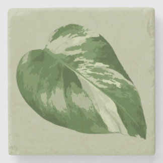 Buntes Monstera-Blatt – Echtes Pflanzenkunstwerk Steinuntersetzer