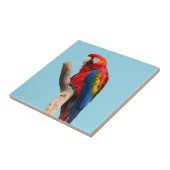 Buntes Papageien-Porträt-Foto Fliese (Seite)