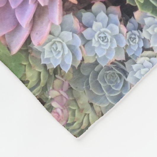 Buntes PastellEcheveria saftiges KLEINES Fleecedecke (Ecke)