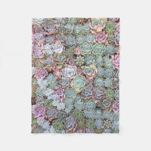 Buntes PastellEcheveria saftiges KLEINES Fleecedecke (Vorderseite)