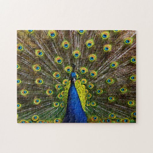 Buntes Pfau Puzzle (Horizontal)