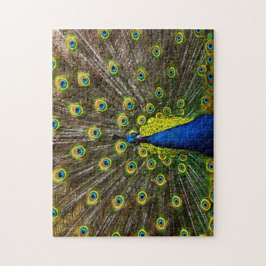 Buntes Pfau Puzzle (Vertikal)