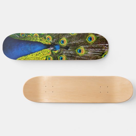 Buntes Pfau Skateboard (Horizontal)