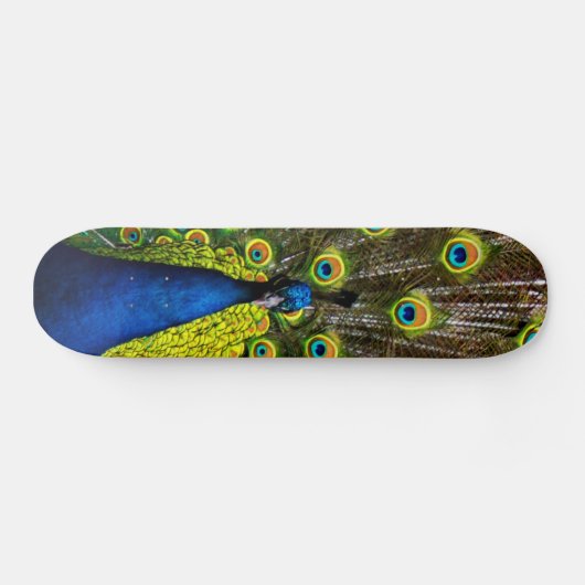 Buntes Pfau Skateboard (Horizontal)