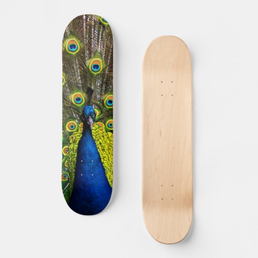 Buntes Pfau Skateboard (Vorderseite)