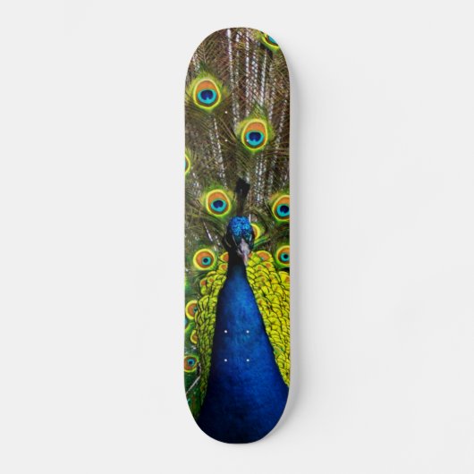 Buntes Pfau Skateboard (Vorderseite)