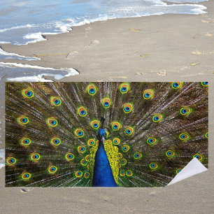 Buntes Pfau Strandtuch
