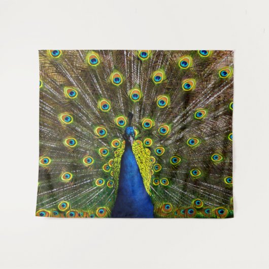 Buntes Pfau Wandteppich (Vorderseite (Horizontal))