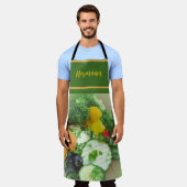 buntes Rohkost Schürze (Getragen)