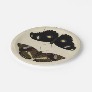 Buntes Schmetterlings-Gemisch auf Sahnehintergrund Pappteller