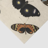 Buntes Schmetterlings-Gemisch auf Sahnehintergrund Seidenpapier (Ausschnitt)