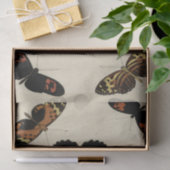 Buntes Schmetterlings-Gemisch auf Sahnehintergrund Seidenpapier (Geschenk)