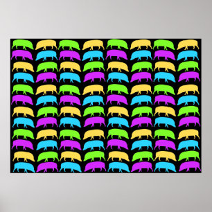 Buntes Schweineposter Poster