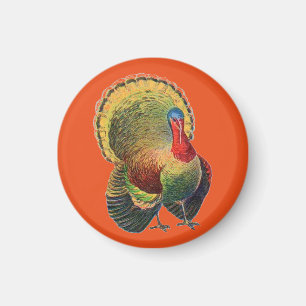 Buntes Vintage Truthahn Magnet