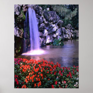 Buntes waterfass w/flowers Plakat