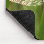 Buntglas-Flügel-Libelle Mousepad (Ecke)