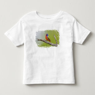 Buntingsänger (Passerina ciris) Männchen singend Kleinkind T-shirt